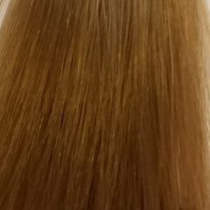 Barva na vlasy Eslabondexx 10
