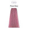 Barva na vlasy Pure Kiss Nouvelle Metallum 7.313