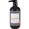 Šampon na vlasy Eslabondexx Rescue Shampoo 1 1000 ml