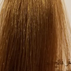 Barva na vlasy Eslabondexx 8.31